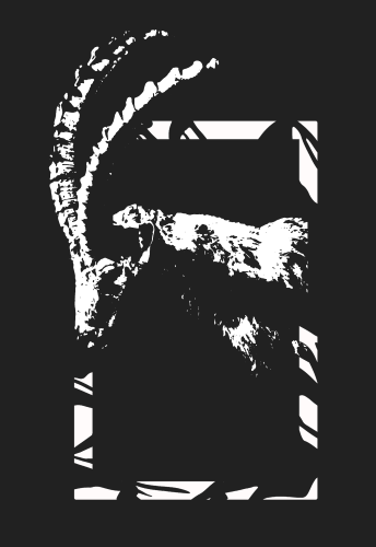 Gaël Hingamp Photographie